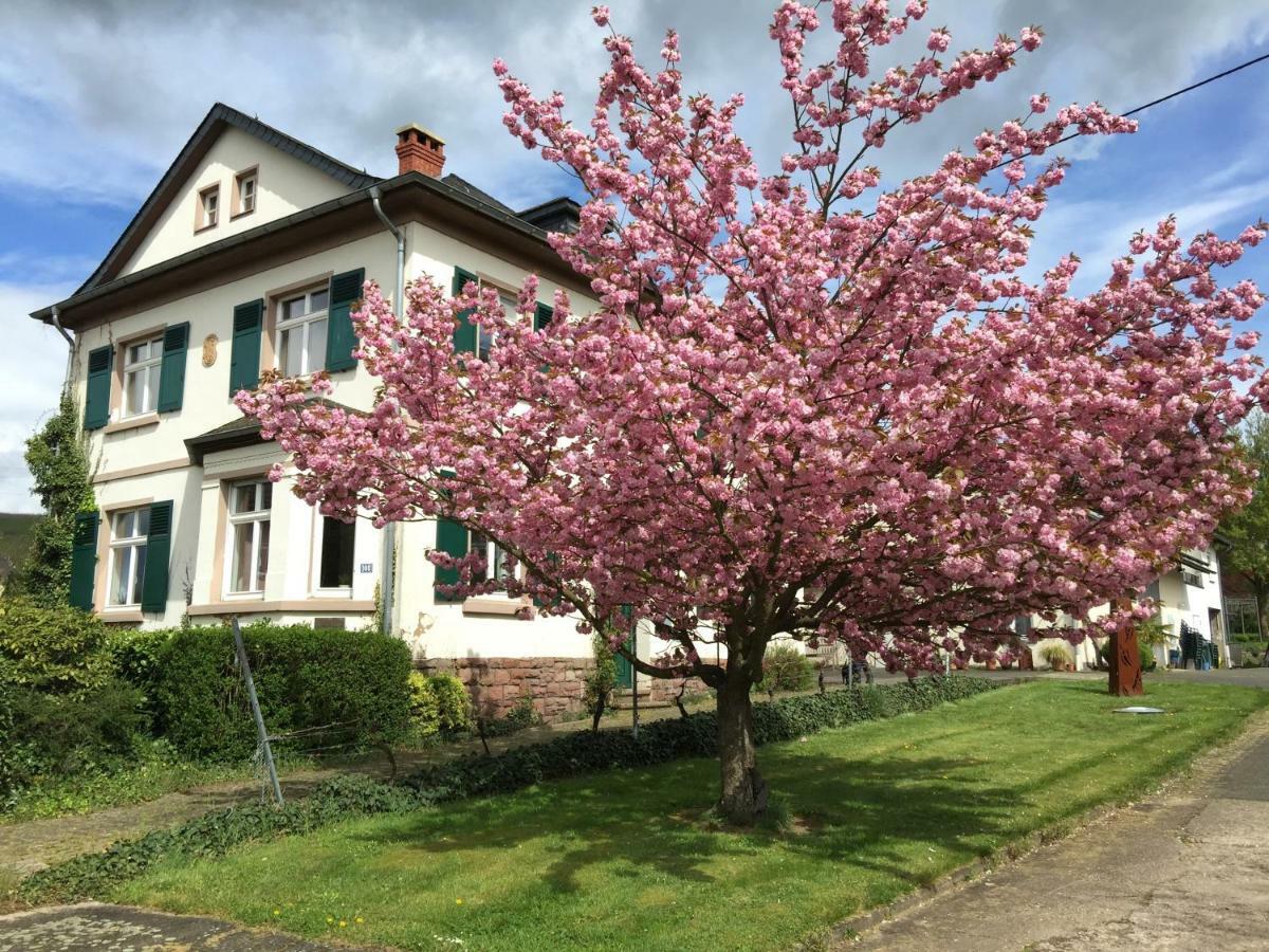 Ferienbungalow Kampenheissji Wiltingen Экстерьер фото